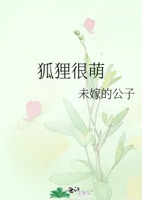 狐狸很萌